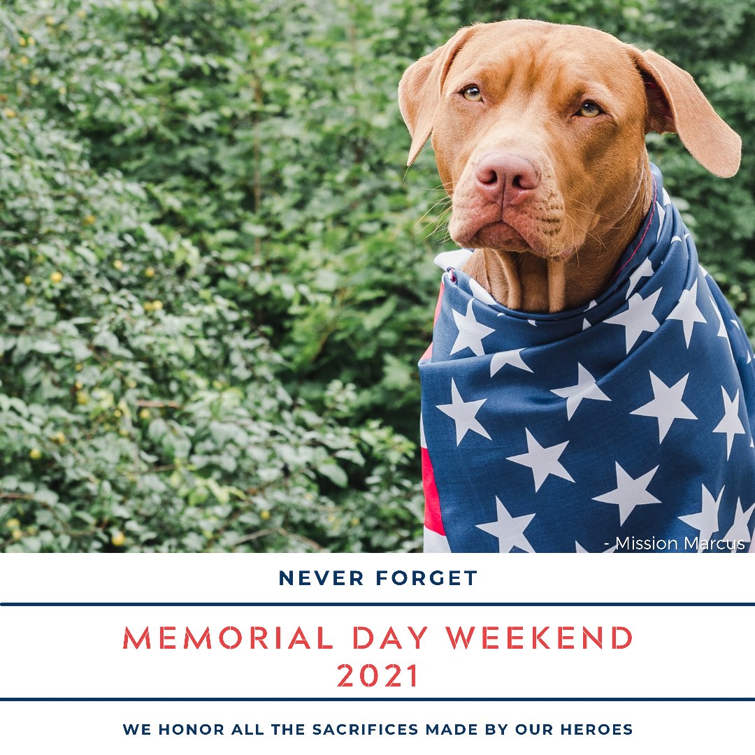 Mission_Marcus's tweet photo. #MemorialDayWeekend https://t.co/To5kyFlVjY