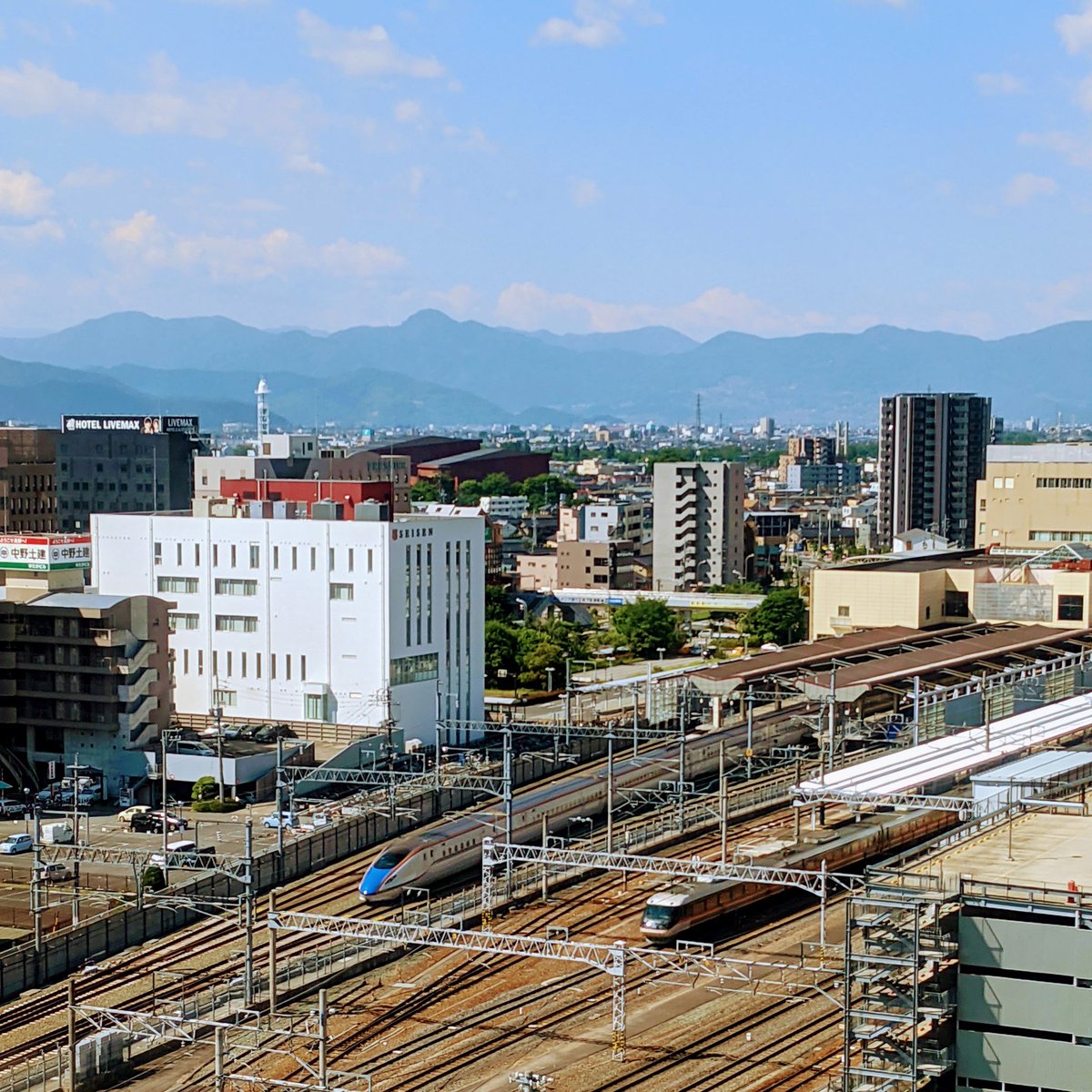 Lyle Holt 🇦🇺 tweet media