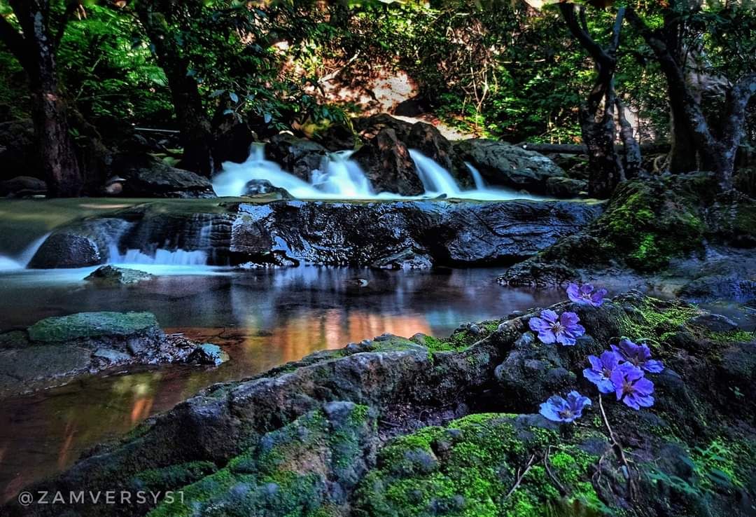 PerlisPermai's tweet photo. 𝗦𝗔𝗟𝗔𝗠 𝗣𝗘𝗥𝗟𝗜𝗦

29 Mei 2021 | 17 Syawal 1442H

Selamat Pagi | 📷 Tenang @ Gua Kelam, Perlis.

Kredit foto : Shahrulnizam zam

#PerlisPermai💛💙 #SelamatPagi🌄 #PKP🚧 #Perlisku #GuaKelam #Malaysia🇲🇾 https://t.co/1oHedfLcoe