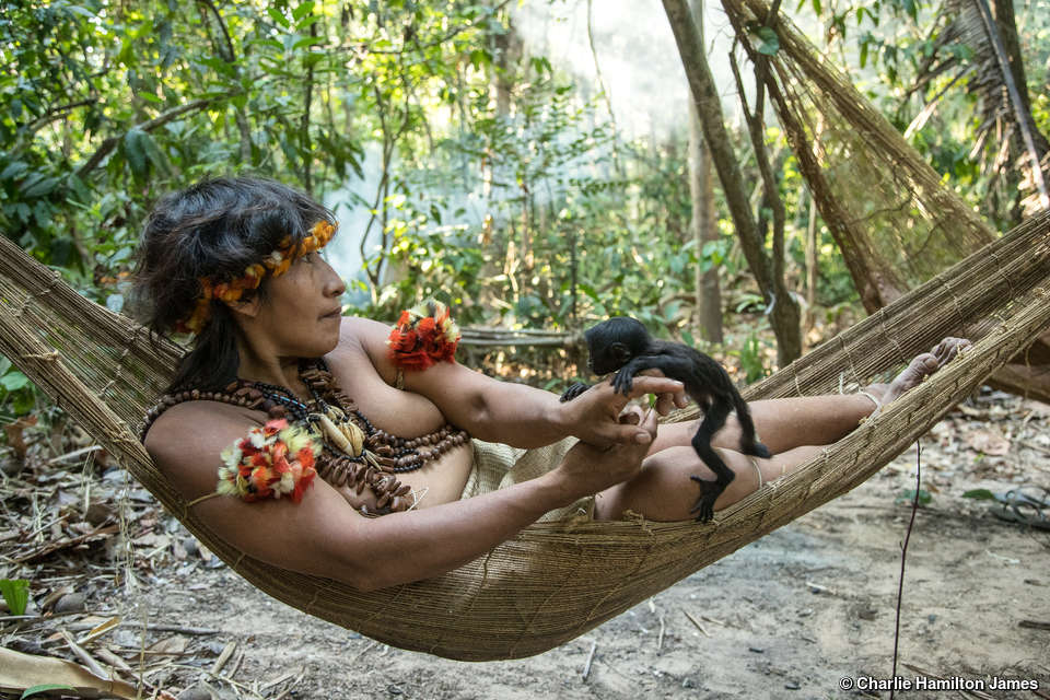 survivalesp's tweet photo. Los pueblos #indígenas #NoContactados no tienen por qué anhelar nuestra forma de vida. En 2014, tres awás no contactados salieron de la selva para establecer contacto. Poco impresionados, 2 dos de ellos regresaron a la selva sin dejar rastro.

📸Awá, Brasil © @chamiltonjames https://t.co/cTL0Q52YYw