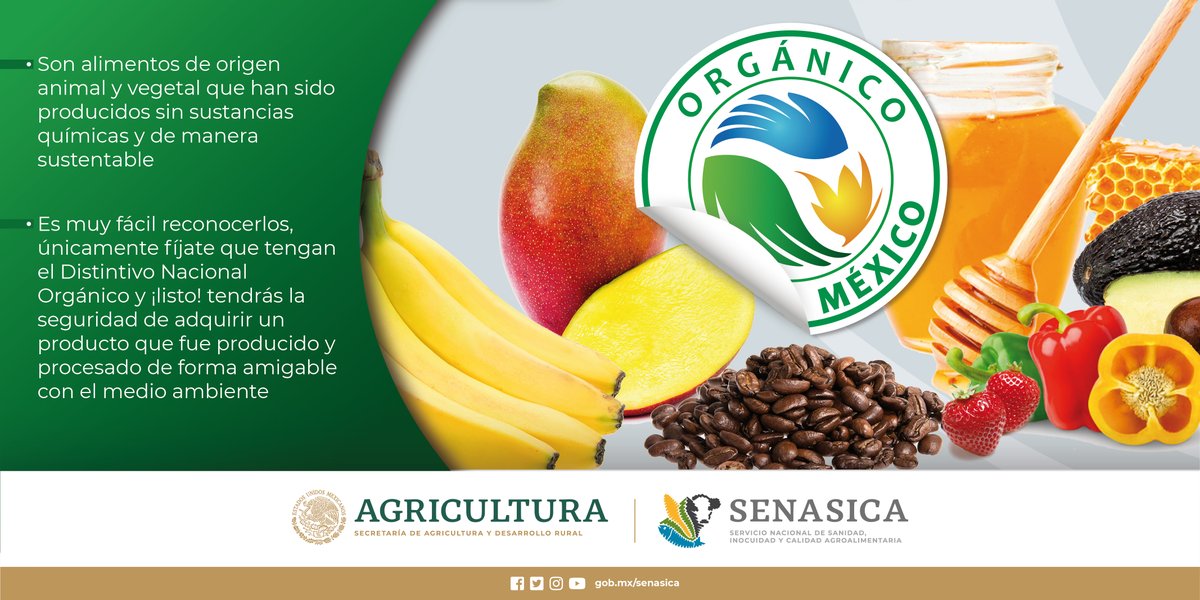 ¿Qué es y cómo estar seguro de que un producto es 100% #orgánico? 🍎🥩🍯 #productosorgánicos
