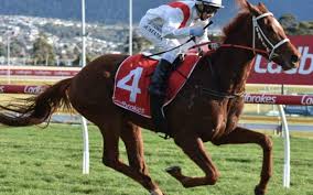 Strong #Tasbred representation at Melbourne Racing Club today again highlighting the strength of our industry!

Best of luck to all involved #teamTAS