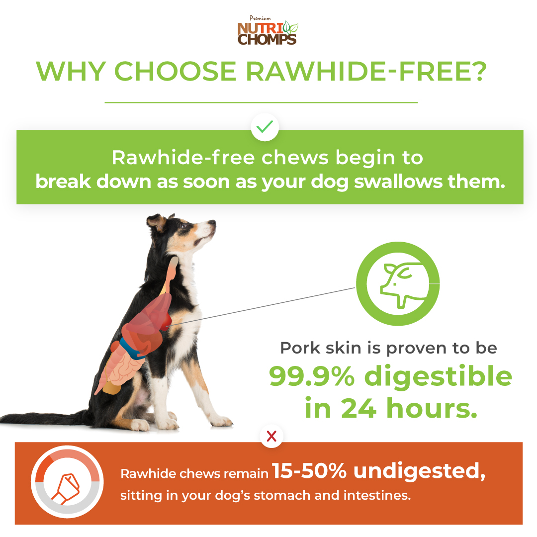 Can Dogs Stomachs Break Down Rawhide