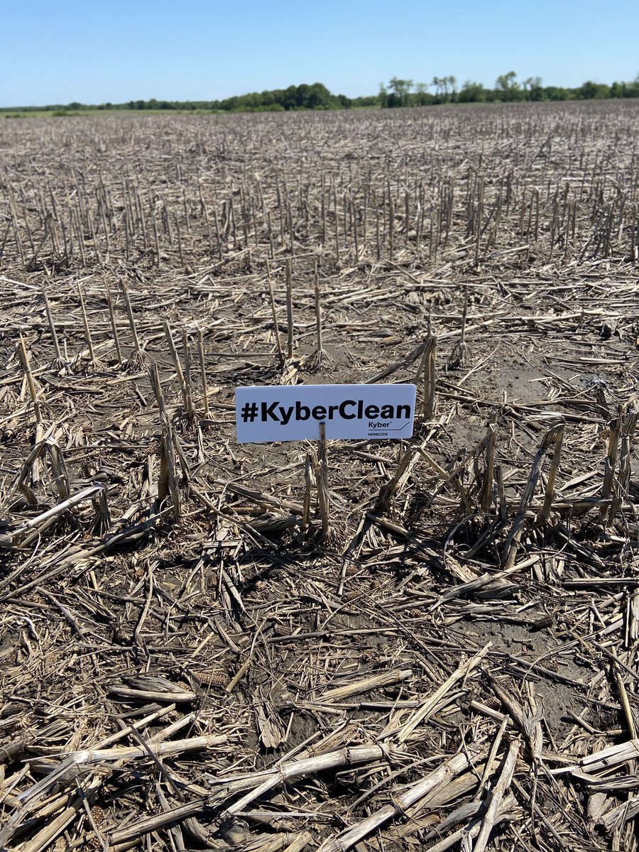 Unfortunately due to relentless rain in southeast Iowa throughout the past month, this field hasn’t been planted yet, but it is certainly #kyberclean <a href="/CortevaUS/">Corteva U.S.</a>