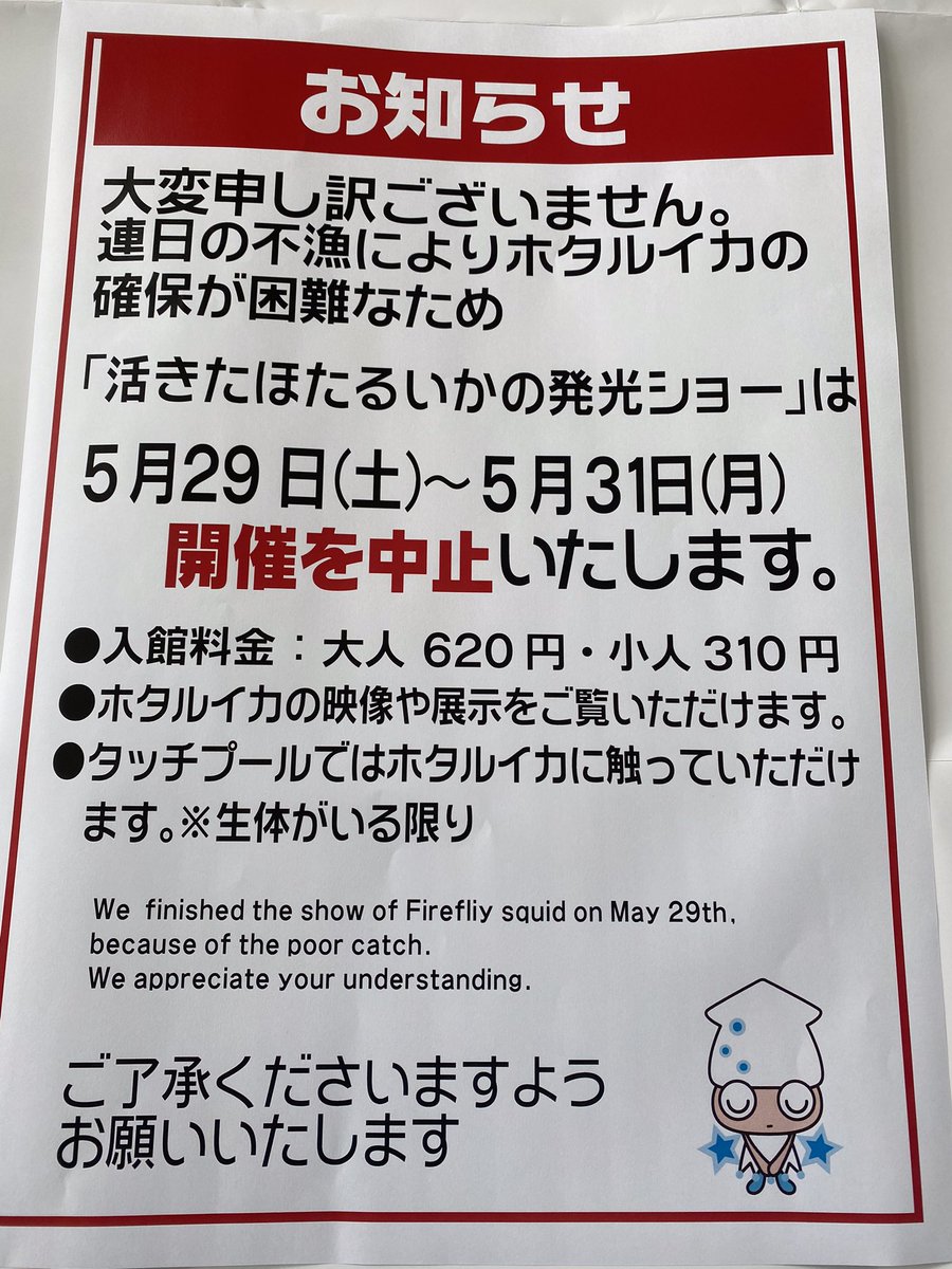 ナピカ ほたるいかミュージアム公式キャラクター Hotaruikamuseum Twitter ナピカ ほたるいかミュージアム公式キャラクター Hotaruikamuseum Twitter