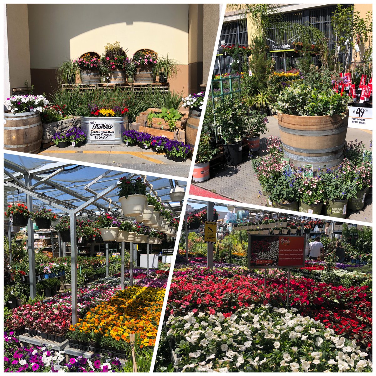Michelle Marquez (@michelle_6884) on Twitter photo All the flowers of all the tomorrow’s are in the seeds of today ! <a href="/VelaSulema/">Sulema Vela</a> <a href="/KHarmer1857/">Kelly Harmer</a> <a href="/6884Luis/">Luis Navarro 6884</a> <a href="/JulieMWeissmann/">Julie Weissmann</a> @OntarioHD_6884 All the flowers of all the tomorrow’s are in the seeds of today ! <a href="/VelaSulema/">Sulema Vela</a> <a href="/KHarmer1857/">Kelly Harmer</a> <a href="/6884Luis/">Luis Navarro 6884</a> <a href="/JulieMWeissmann/">Julie Weissmann</a> @OntarioHD_6884