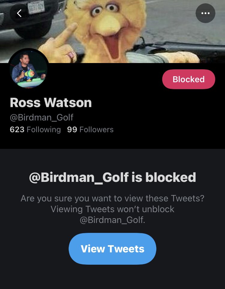 lostboylofi's tweet photo. @Birdman_Golf @StephSutto @BlockchainSteve @jennifer_sutto @topshotnoobie @joeswam @jfresshhh_ @DisneyAlexMax #nonegativityhere https://t.co/iAS9G60gYt