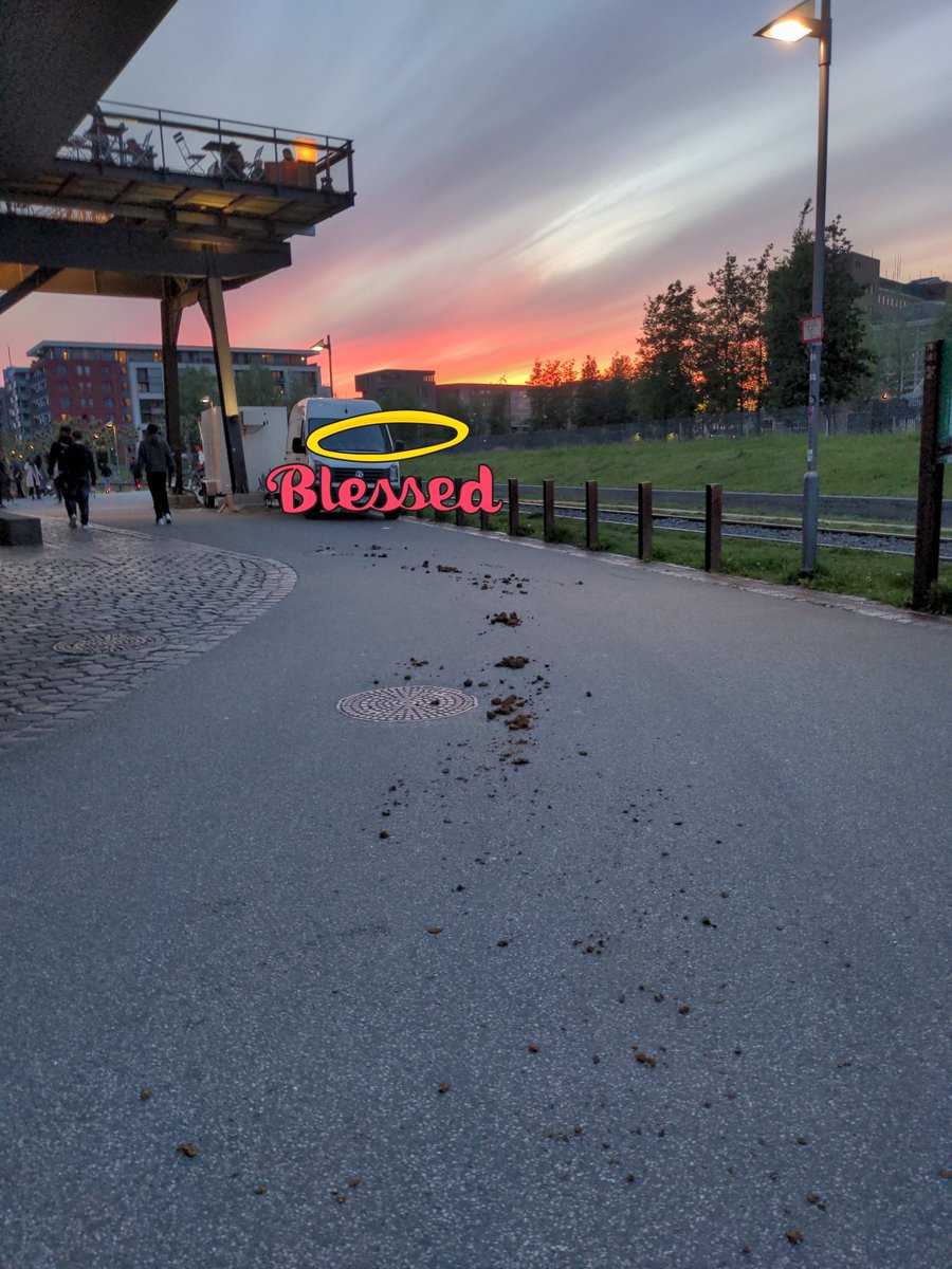 #sackerlfürsgackerl #mainufer #stradadepolizeipferde #Frankfurt