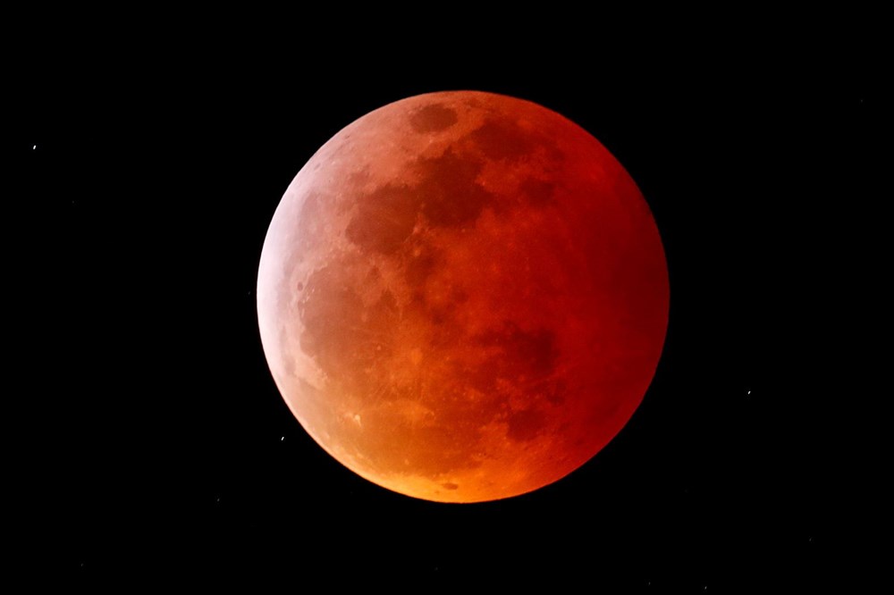 TrHailee's tweet photo. I love you so much that I feel like I love the rest of the world because of you. ❤️🌍@HaileeSteinfeld
#Day548
#FlowerMoon #bloodmoon2021 https://t.co/eW4Fgja3Os