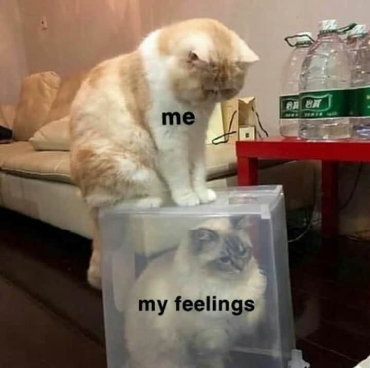 م (@amiiraayman) on Twitter photo 