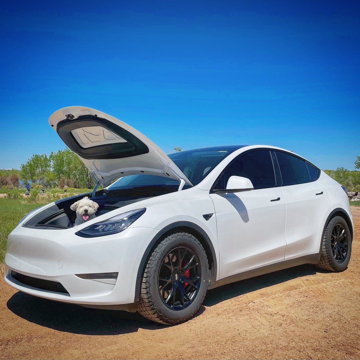MW05 Race Wheels For Tesla Model Model Y Martian Wheels