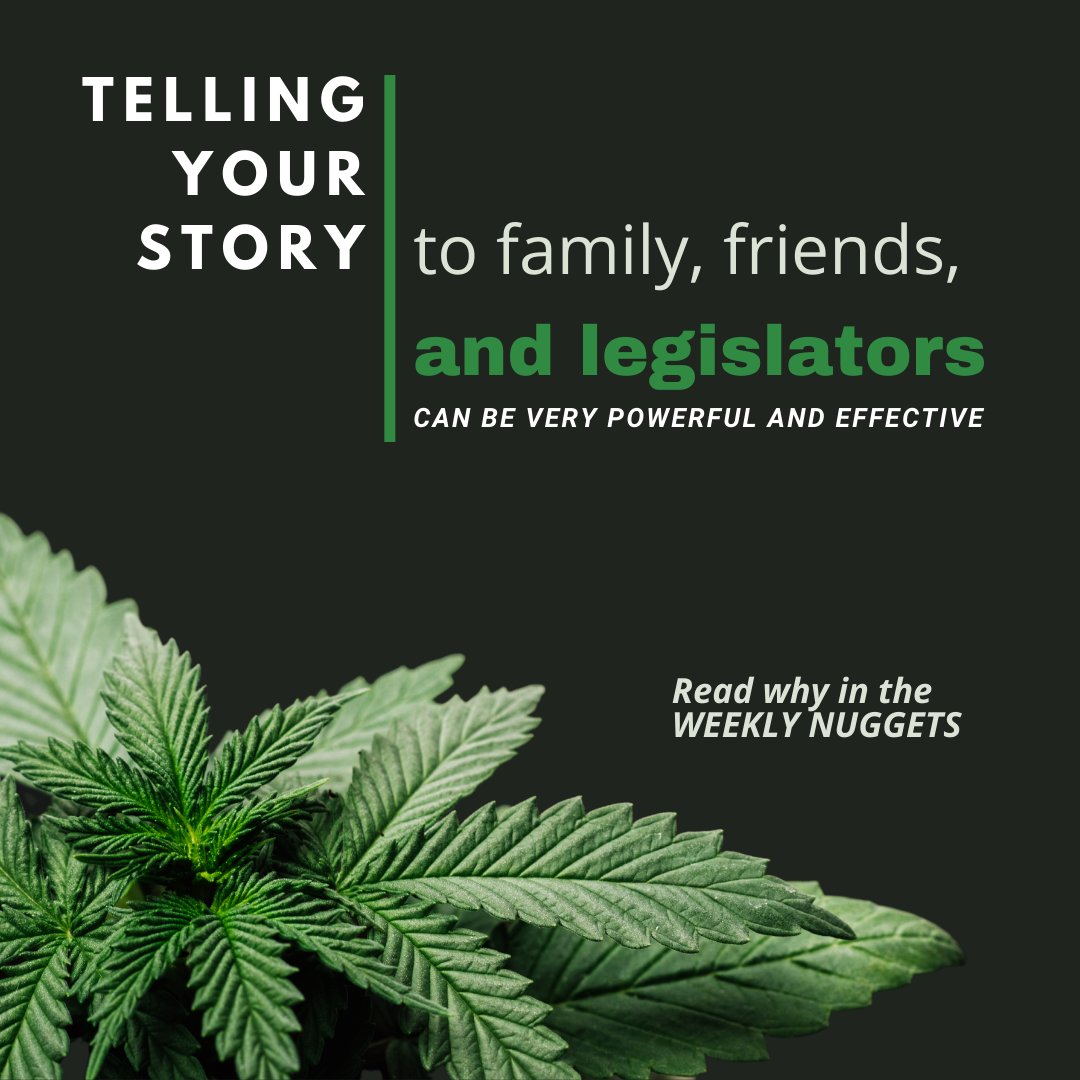 NC_NORML's tweet photo. Telling your story to family, friends, and legislators can be very powerful and effective. Read why in the Weekly Nuggets.
https://t.co/r7QbtUFftE
#NCNORML
#LegalizeCannabis
#LegalizeNC https://t.co/mxEsazMTQu