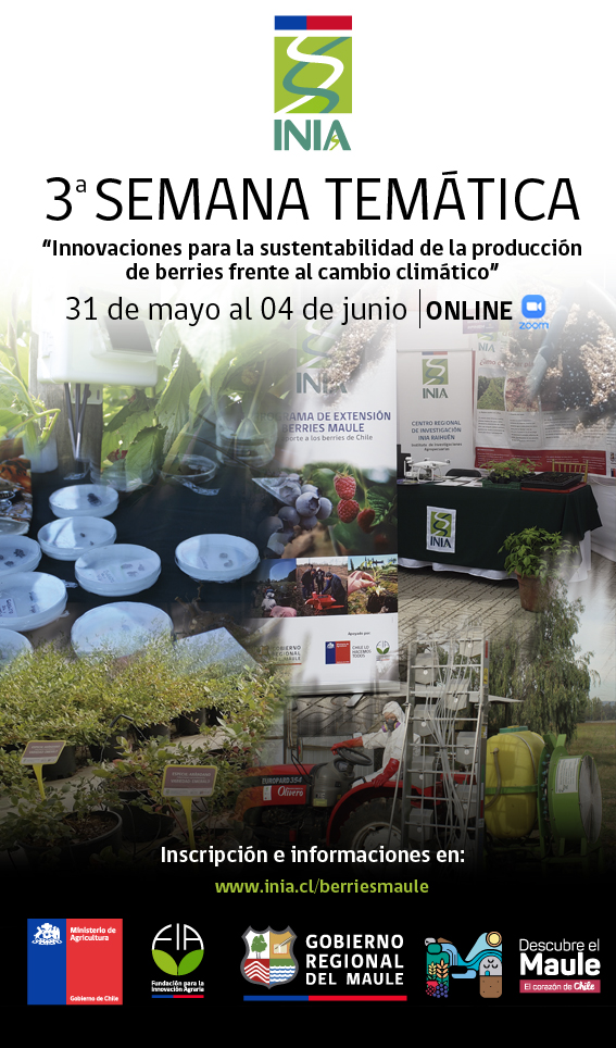 INIARaihuen's tweet photo. Cuenta regresiva para el inicio de la 3ra Semana Temática del #programaextensionberries de @iniachile @FIA_Chile y Gobierno Regional del Maule @descubreelmaule. ¡No faltes! Inscripción gratuita en https://t.co/CR59qIt2wH Visita https://t.co/uPPYZpgdHc https://t.co/ldRyuIRXIl