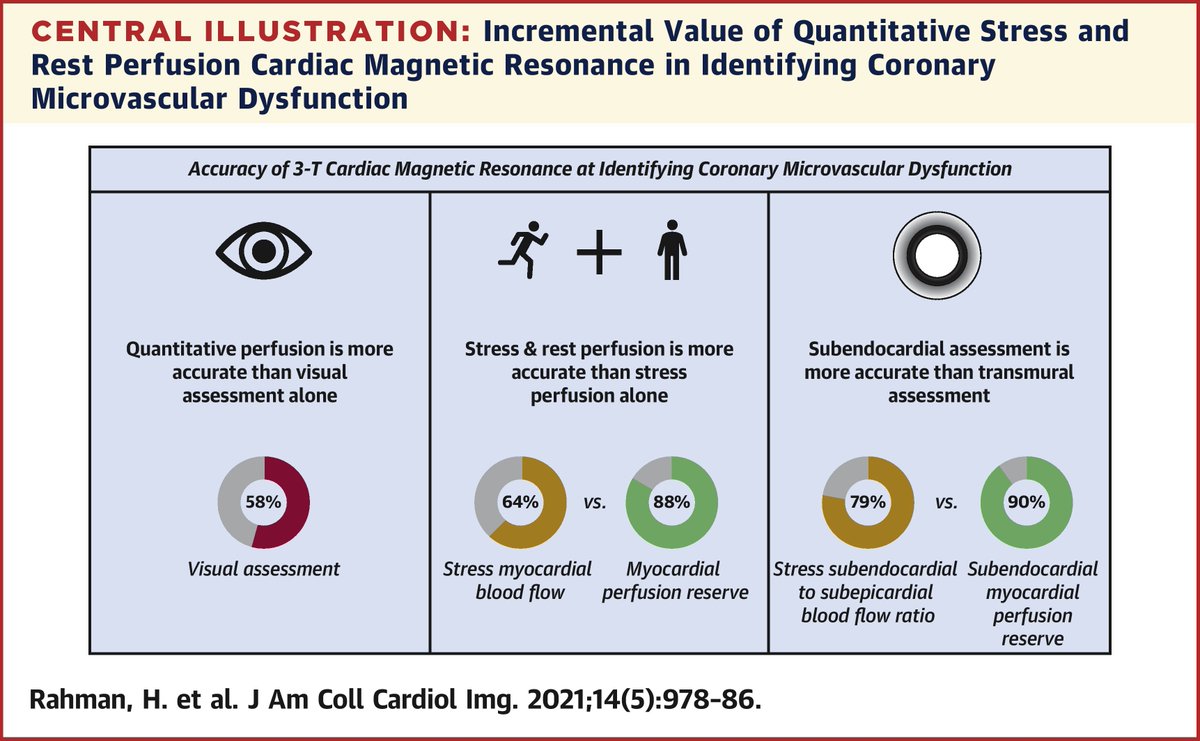 JACCJournals's tweet photo. Microvascular dysfunction can be accurately diagnosed by perfusion CMR, but quantitative analysis is better than visual reporting. All patients w/ #angina & normal coronary arteries should have coronary physiology or #CMR. https://t.co/pcys5BDZBy
#JACCIMG #WhyCMR #cvImaging https://t.co/xy9yoqB0Vi