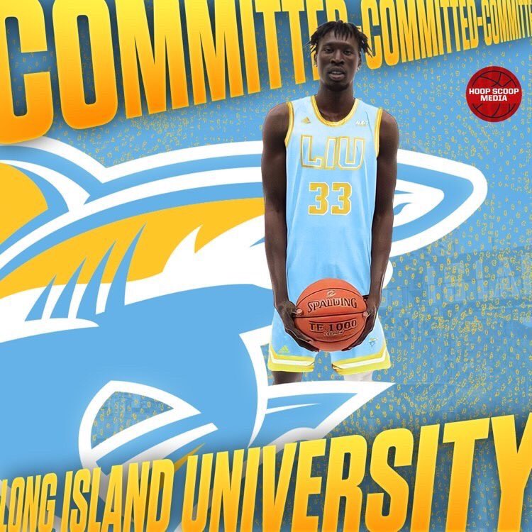 James kamich tweet media