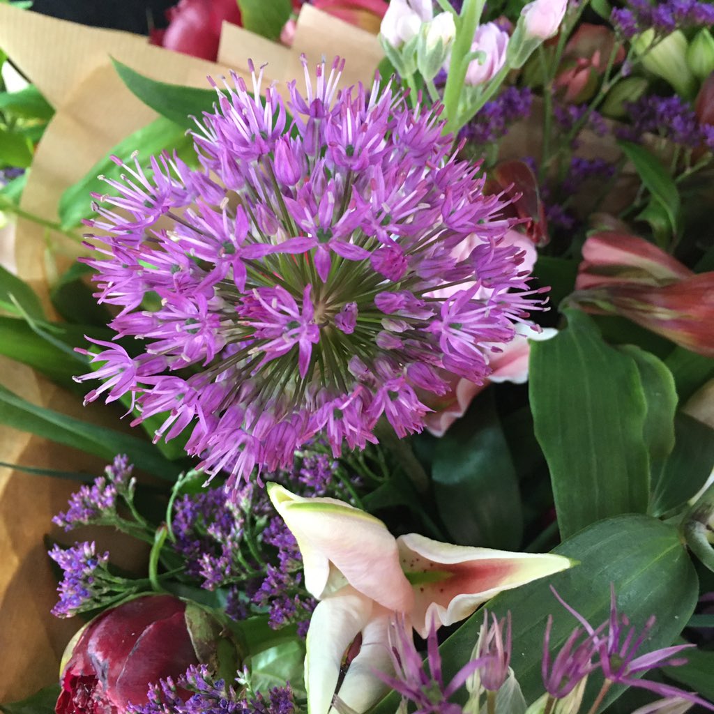 Buzzin' 🐝🌺 tweet media