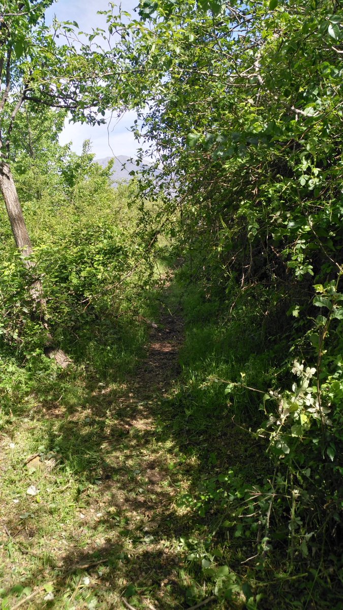 pnaltpirineu's tweet photo. Deixem apunt per ser gaudit a peu 👣 el camí senyalitzat entre #Sort i #Rialp.
Actuació de la brigada de reforç del #PNAltPirineu contractada a #SEFOCAT https://t.co/jTxOYh9eCY