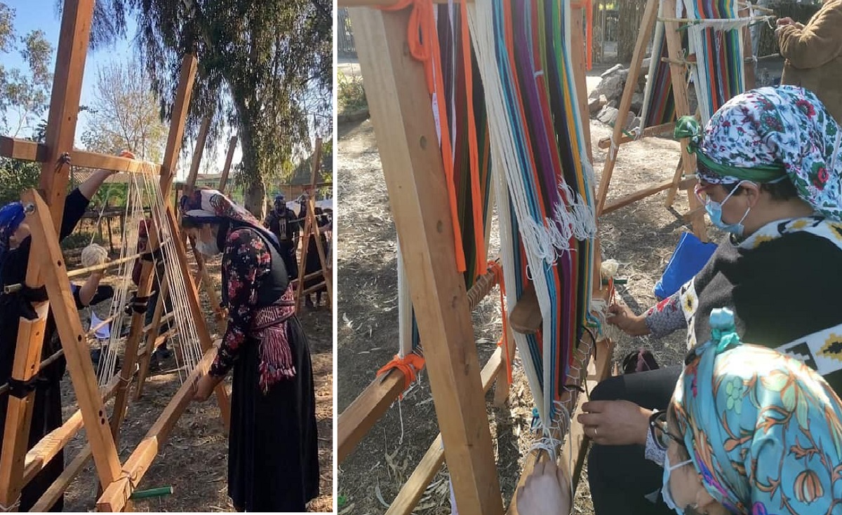 eo_enlinea's tweet photo. [EN VIVO] Histórico #RecordGuinness del #witral más grande del mundo buscarán conseguir tejedoras mapuche de distintas comunas a esta hora en la Ruka Lawen Witrapuran de #VillaAlemana. 
Sigue la transmisión aquí ⬇
https://t.co/m9rwrQgFTC https://t.co/BN2C6hfenX