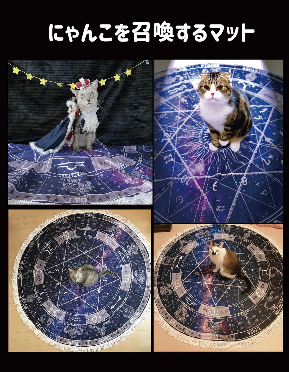 @takumi_trush #ハンクラ発表会
遅くなってごめん!準備でバタバタしてて!
作家名 柴尾(しばお)
サイトURLhttps://www.earnestplace.com/
作品の紹介文 地球から少し離れたところにある星空町で、星と海をテーマに星空町で出会った住人などをイラストにして雑貨を作っています。 