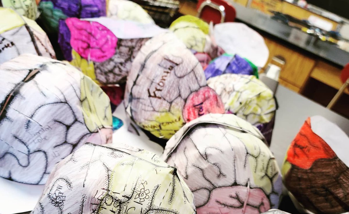A &amp; P students donned their Brainy Hats &amp; shared some brain knowledge along the way  
                   🧠👍🏽

#brain #anatomy #physiology #nervoussystem #