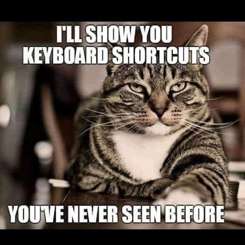 WildFrogSystems's tweet image. It's Friday afternoon already? Ahhh... gotta love those shortened Stat weeks...

Today's Friday Funny is for the cat-owning work-from-home brigade... we see you... the struggle is real!

#fridayfun #workfromhomestruggles #catsandcomputers #techsupportforlocalbusiness