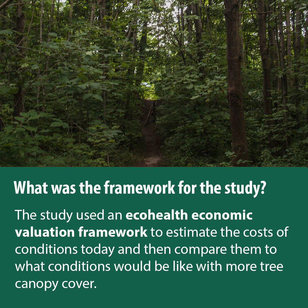 Last year, with <a href="/OnEcoHealth/">EcoHealth Ontario</a>, we developed a first-of-its-kind framework that uncovers the economic case for greenspace investments &amp; applied it to 3 #Ontario projects. Swipe through to learn how planting trees improve our health and well-being in the Brampton Tree Canopy study.