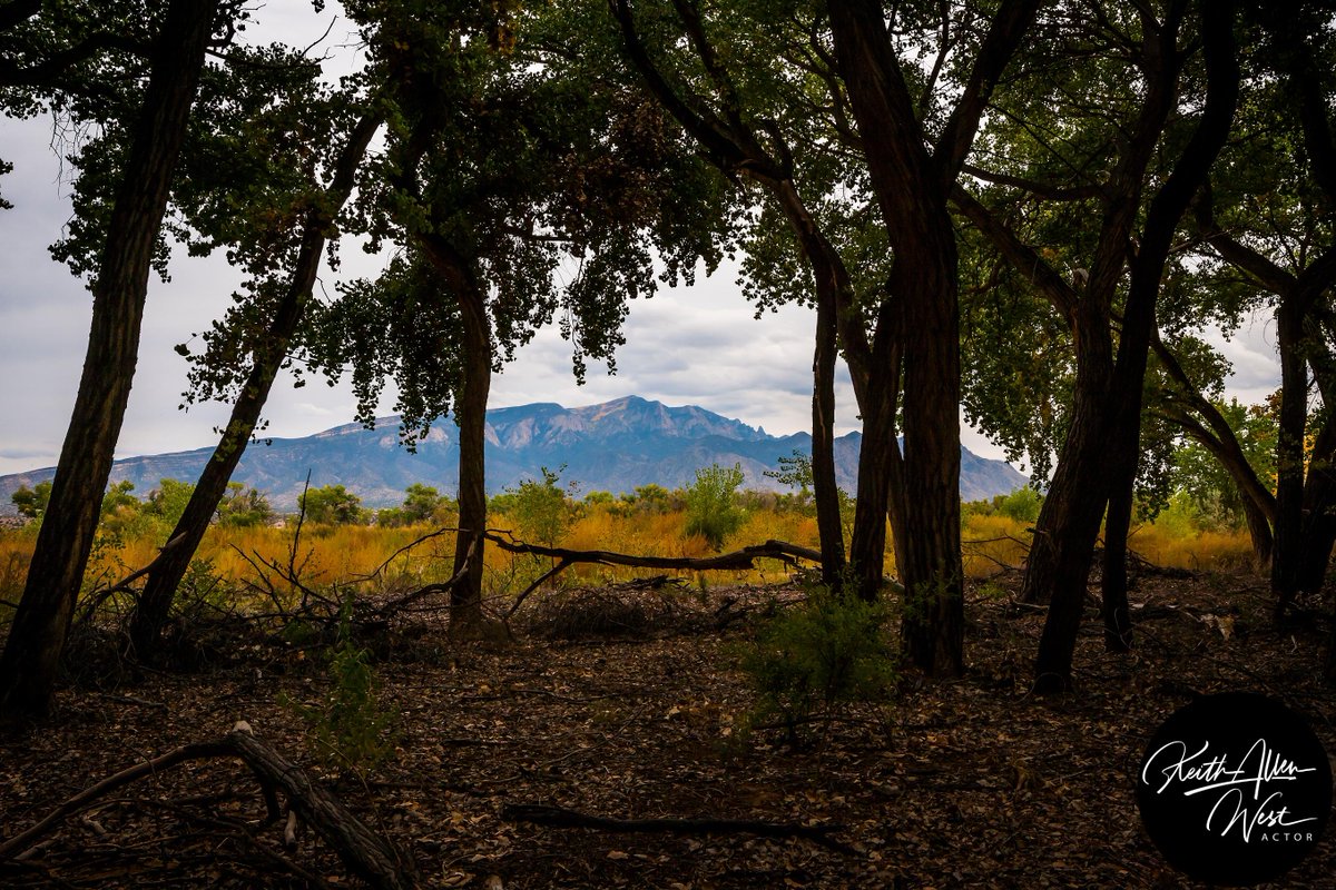 keithwest's tweet photo. #newmexico #albuquerque #newmexicotrue #nmtrue #nm #santafe #abq #texas #arizona #landofenchantment #photography #art #lascruces #california #usa #newmexicolove #burque #travel #nature #canon #newyork #newmexicolife #colorado #florida #southwest #igersabq #purenewmexico #rior... https://t.co/MXhp6ouhgV