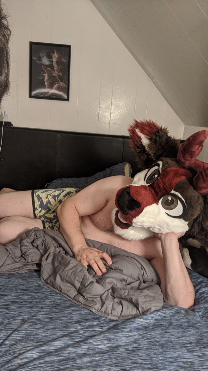 wolfpupsilver's tweet photo. First pic with my new head! Join me? https://t.co/hocqVdu2DE