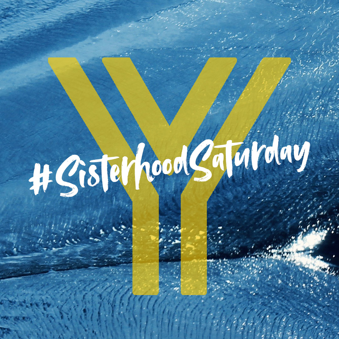 YWCA Auckland tweet media