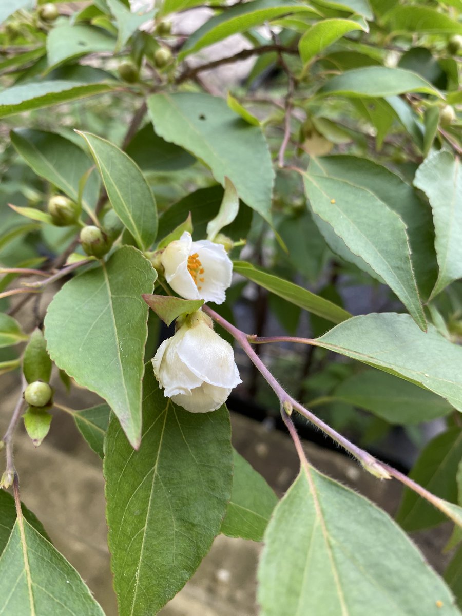 ヘアーカットサロンいしかわ M4tkbqnpwm9xmea Twitter