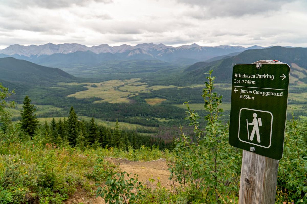 ZenSeekers's tweet photo. A luxury #Alberta hike pairing good views with good food.
Forget #datenight, #exploreHinton for date weekend โก๏ธ https://t.co/cJ7gxOhWF7
#ExploreNWAB #HintonFirst #AbParks #explorealberta @AlbertaParks @overlanderlodge @foldingmountain @TravelAlberta
๐ท @Stasher_BC @ZenSeekers https://t.co/BeasZMItWk
