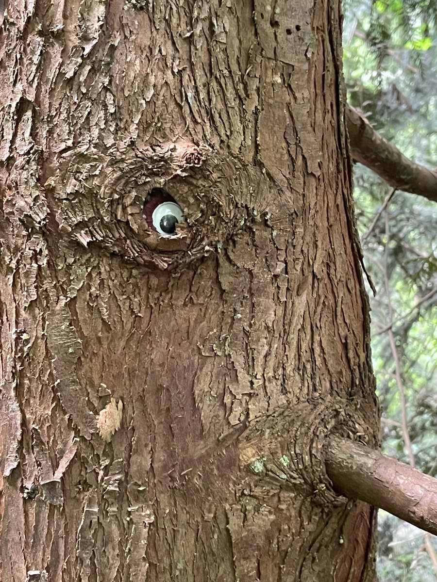 Learning in Places tweet media