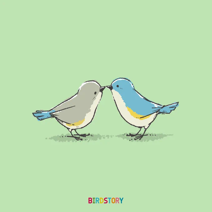 おはようございます。
本日は5月29日、こうふくの語呂合わせから、幸福の日とのことです🐣
#BIRDSTORY 
#幸福の日 #ルリビタキ 