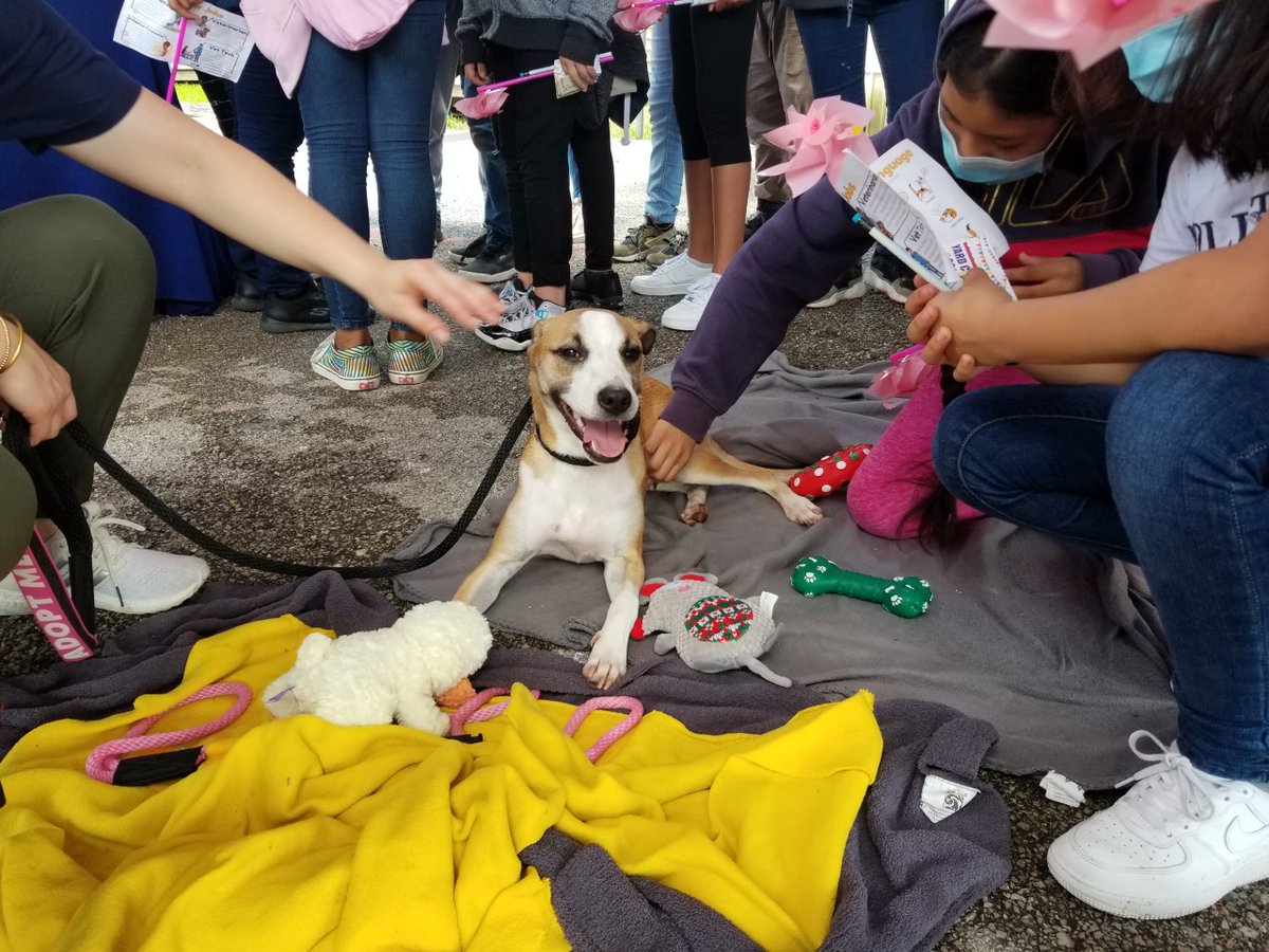 HoustonHumane's tweet photo. We popped up at Petersen Elementary's Career on Wheels event to teach students about the wonderful world of working with animals. Working with animals has been shown to boost your mood, making animal shelters a great place to work!
#FeelGoodFriday https://t.co/WzxiurluL1