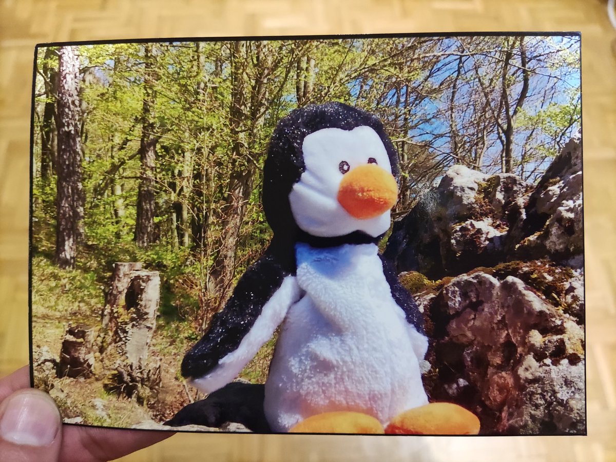 flecken_66's tweet photo. Da kommt man ganz erschöpft nach Hause und wird dort von einer tollen Postkarte vom lieben @PinguPaul_ und @cycletux überrascht. 🥰

#makepostcardsgreatagain https://t.co/jr4N1PkDJK