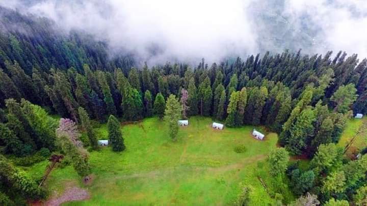 IndusTourism's tweet photo. Camping pods at sharan forest Kaghan KP Pakistan.

#sharan #kaghan #naran #Pakistan #indus #tourism #industourism #campingpods #Mansehra #Travel #traveltheworld #kptourism #KPK https://t.co/SjYxYagC3e
