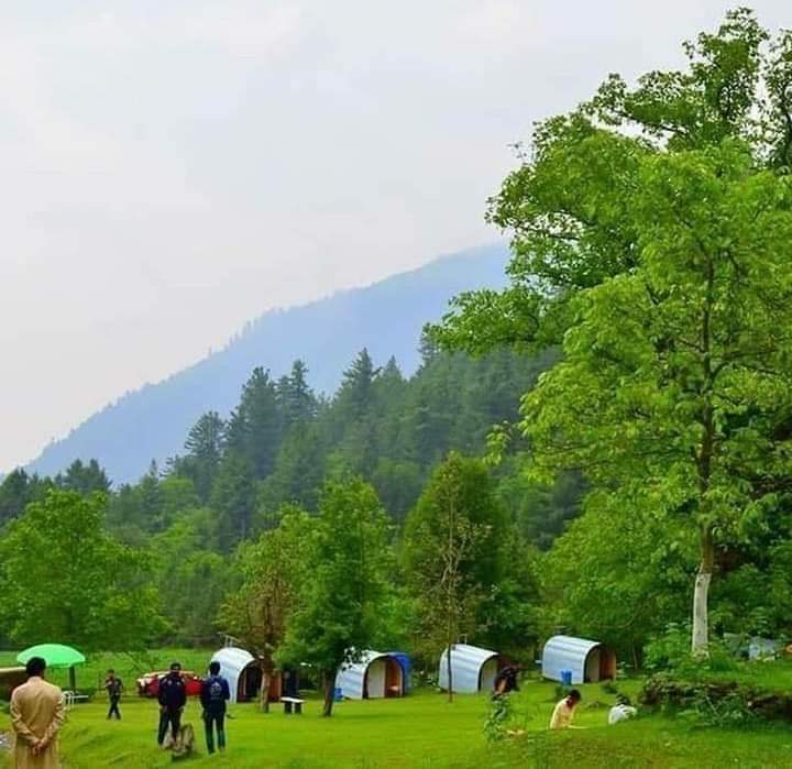 IndusTourism's tweet photo. Camping pods at sharan forest Kaghan KP Pakistan.

#sharan #kaghan #naran #Pakistan #indus #tourism #industourism #campingpods #Mansehra #Travel #traveltheworld #kptourism #KPK https://t.co/SjYxYagC3e