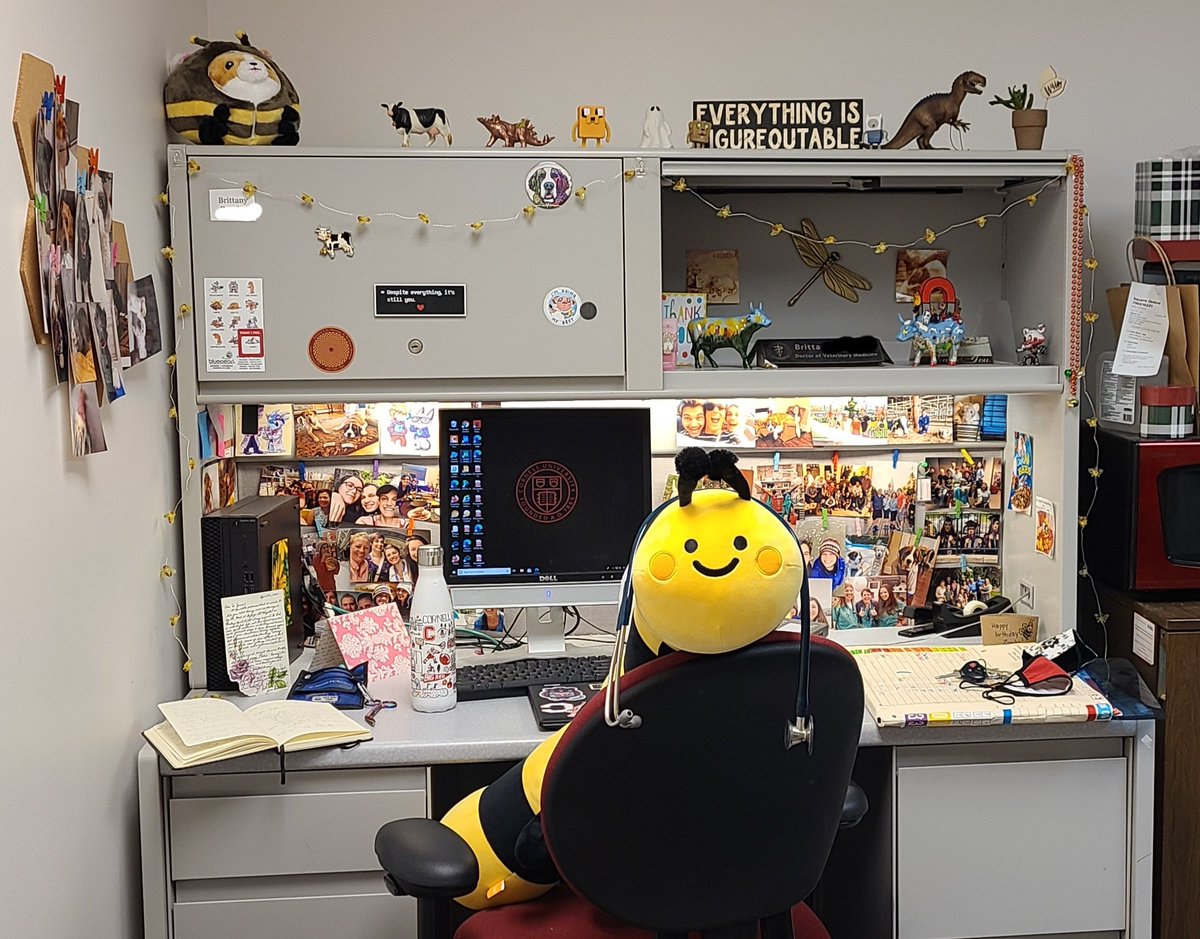 Beesaurus28's tweet photo. I also realized today was the 1st time I had to be at school on my birthday since my senior year of HS, so I dressed in my best buzziness bee attire &amp; brought long bee with me for good measure. He was a beelessed assistant 🧐🐝 #longbee #hesadoctornow #beeday https://t.co/rHP7QxlDjA