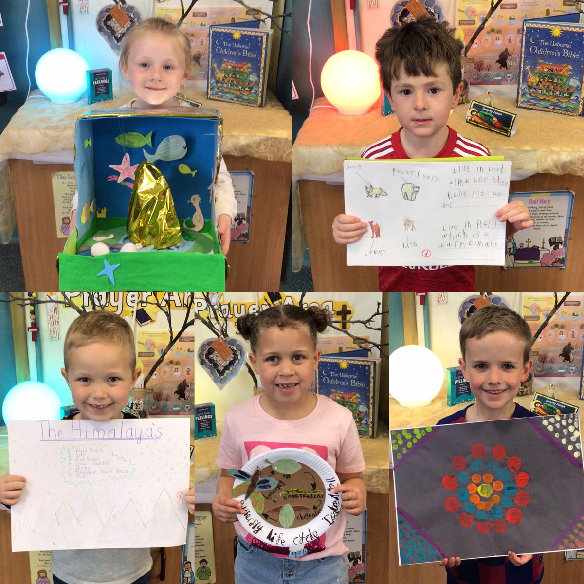 MissMawdsley's tweet photo. Y1/2 having been working hard on their homework projects linked to our new topic βSteve Backshall!β Here are a few of their wonderful creations! π³πππΈππ #homework #topiclearning https://t.co/XavL7RkFOw