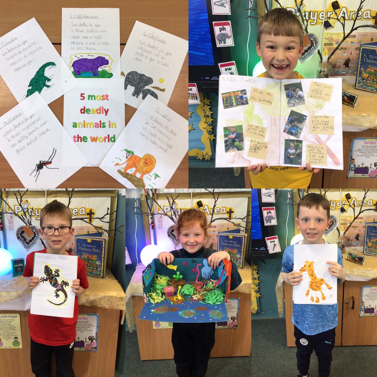 MissMawdsley's tweet photo. Y1/2 having been working hard on their homework projects linked to our new topic βSteve Backshall!β Here are a few of their wonderful creations! π³πππΈππ #homework #topiclearning https://t.co/XavL7RkFOw