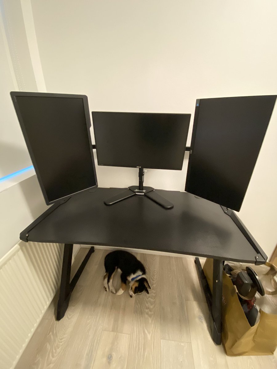 Got the table and monitors up tonight in the new gaming room. My doggo feels comfy in there too 🥺