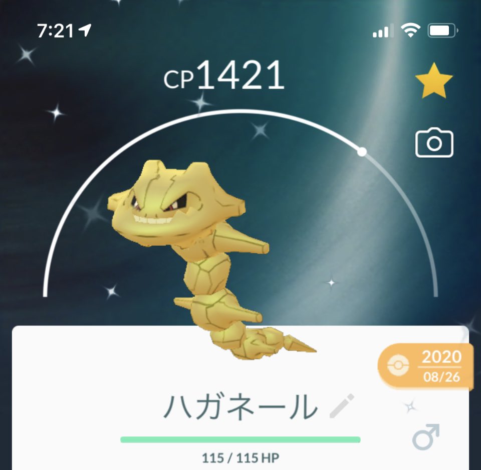 ポケ太郎 ハガネール色違い 色違い ポケモンgo T Co Syspq3d3im Twitter