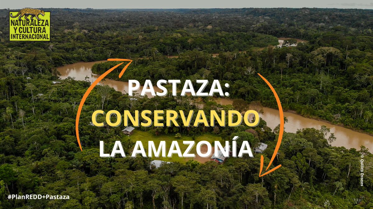 ncilatam's tweet photo. En esta campaña revisamos el trabajo de @GadPastaza Nacionalidades Indígenas @GCFTaskForce @PNUDEcuador @Ambiente_Ec #NCI para levantar el PdIREDD+, instrumento técnico desarrollado para el impulso de actividades de conservación y protección del medio ambiente. #PlanREDD+Pastaza https://t.co/RHj8DpvKm0
