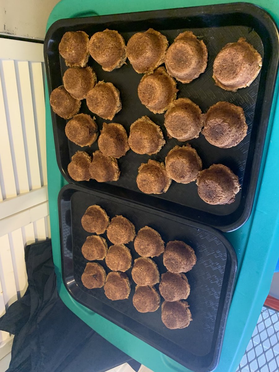 bocababemuffin's tweet photo. Hot and fresh -designed for #celiac #diabetics #squeakyClean #cravingZapper #treatThatIsNOTaCheat https://t.co/PakzSEqict