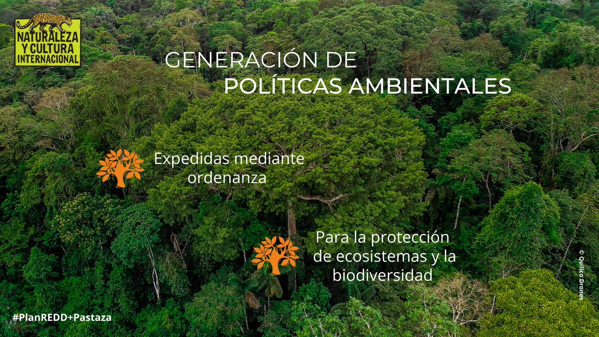 ncilatam's tweet photo. En 2014, @GadPastaza aprobó la ordenanza de #PolíticasAmbientales para proteger la biodiversidad del territorio. El compromiso lo asumieron los GADs de la provincia de #Pastaza.
#PlanREDD+Pastaza https://t.co/SfbZWNqKTg