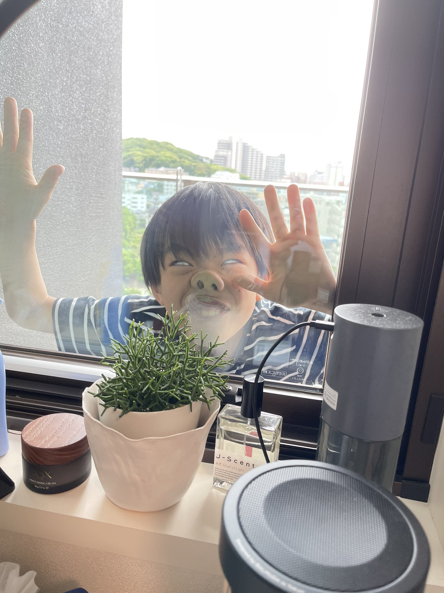 Zoom会議の向こう側 変顔で笑わせて来る息子w 話題の画像プラス Zoom会議の向こう側 変顔で笑わせて来る息子w 話題の画像プラス