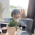 zoom会議の向こう側!変顔で笑わせて来る息子w