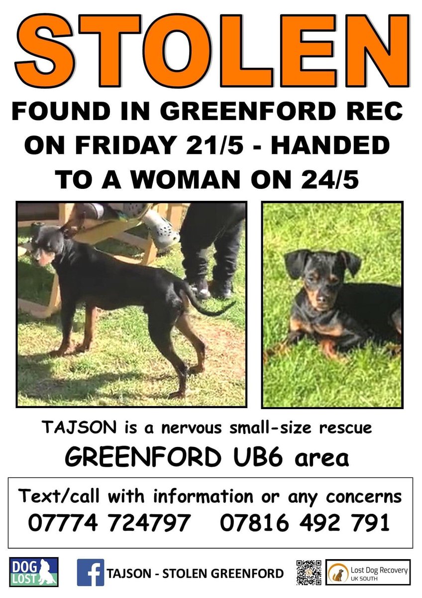 molliepug2's tweet photo. Tajson was originally found by a gentleman on Friday 21st May in Greenford Rec, close to where he lives; on 23rd he was then handed to a lady who said she recognised him and took him.
CAN THAT LADY PLEASE COME FORWARD or HAND THIS LITTLE DOG into the closest VETS/ DOG WARDEN or https://t.co/SK0QqJ0ccv