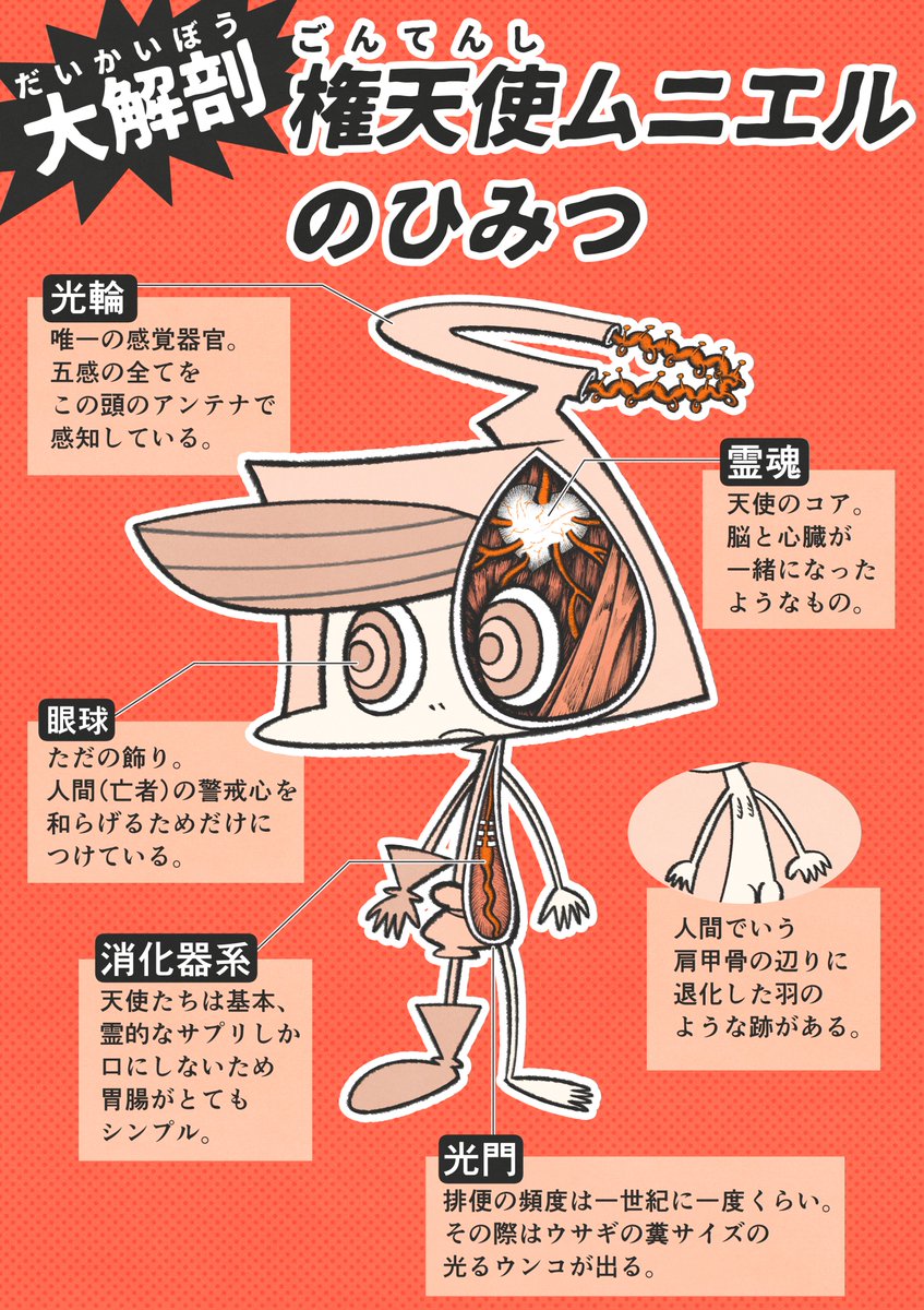 煉獄tube 公式 煉獄の住民 番外編 リバイバル 大解剖 権天使ムニエルのひみつ 天使 解剖図 イラスト 煉獄tube