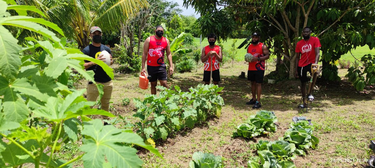 Positive stories in covid, had the pleasure of meeting up with the guys from exiles rugby club and their farming project in Gasparillo. #journlistincovid #TTT #Sportsunites.